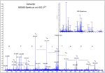 protein identification